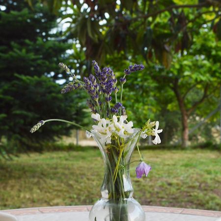 Sunny Retreat With A Garden Terrace Private Room Ioannina Exterior photo