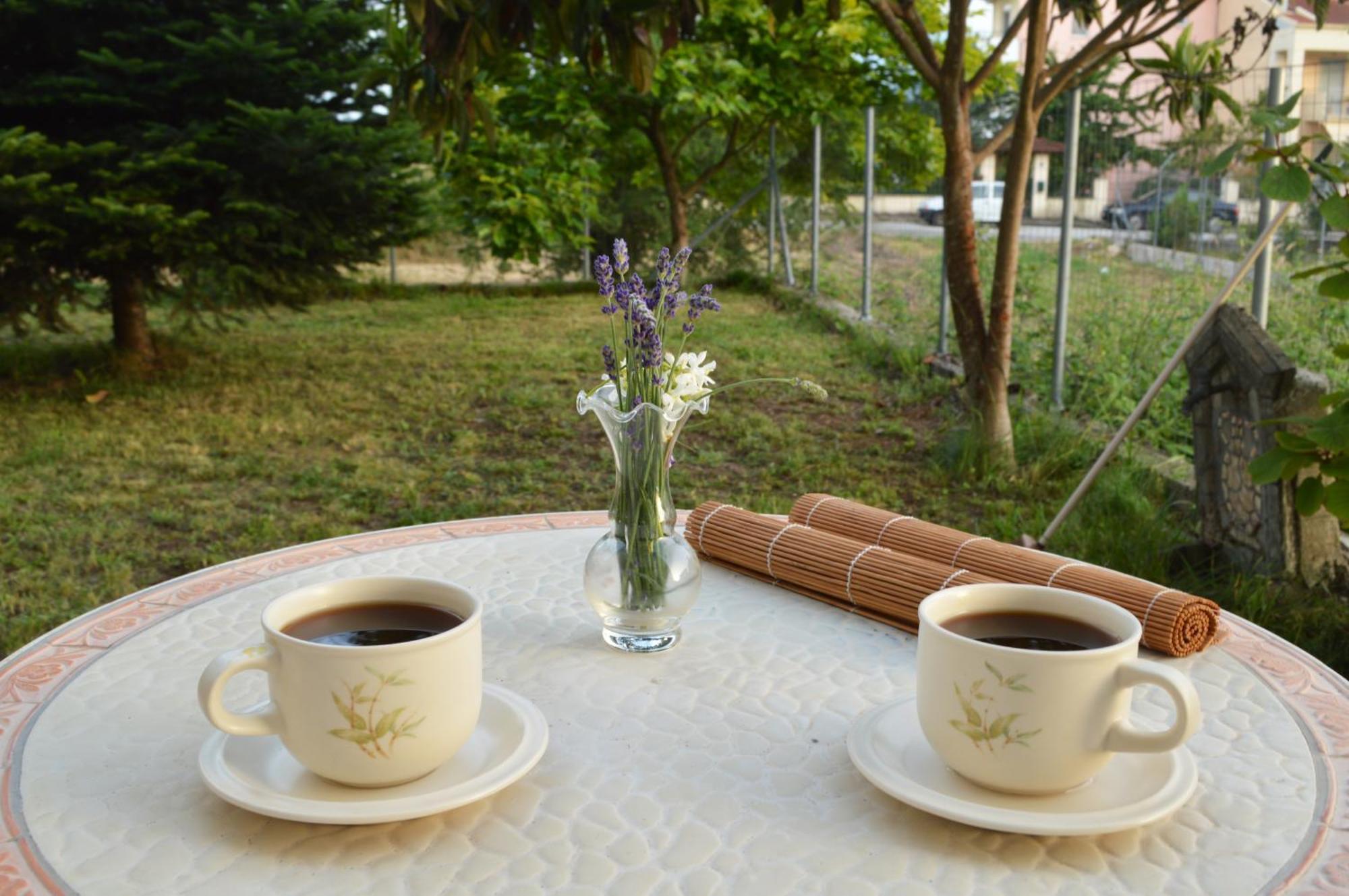 Sunny Retreat With A Garden Terrace Private Room Ioannina Exterior photo