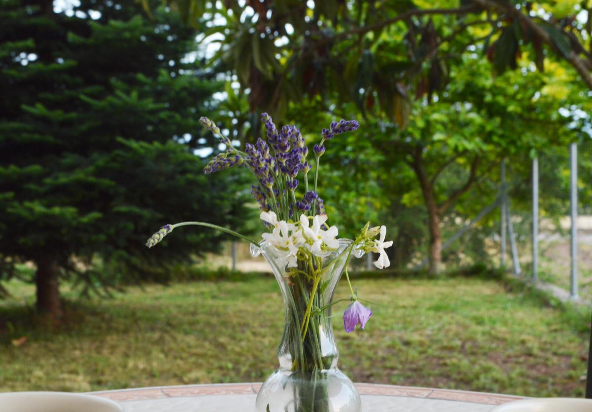 Sunny Retreat With A Garden Terrace Private Room Ioannina Exterior photo